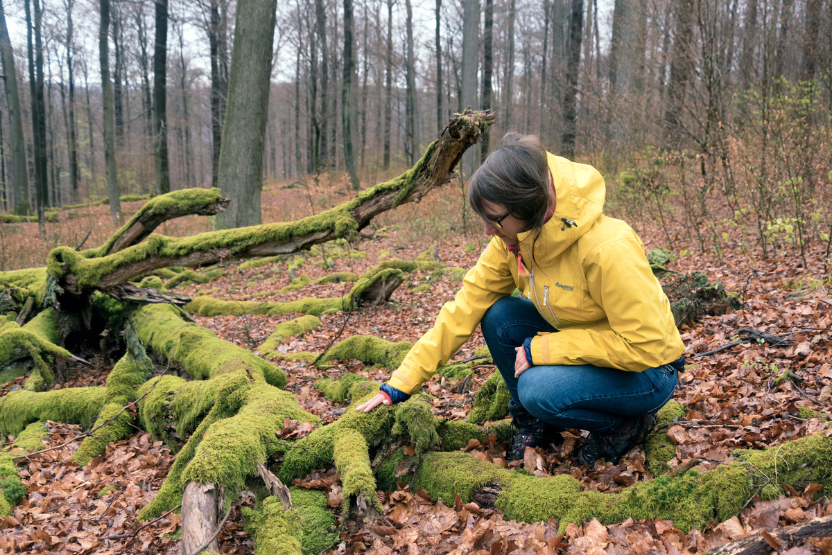 Hiking Tour through the Spessart Mountains © Andreas Varnhorn / Greenpeace Hiking Tour through the Spessart Mountains © Andreas Varnhorn / Greenpeace