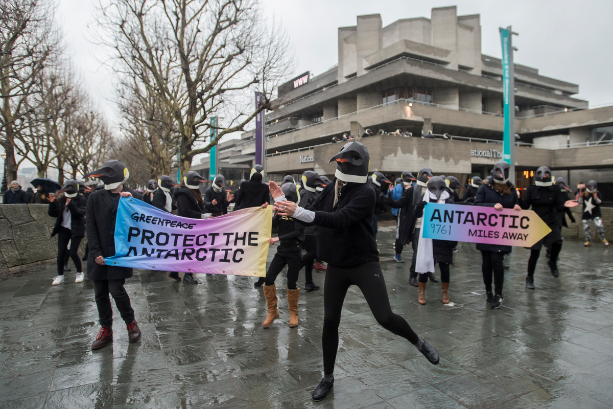 Rise of the Penguins in London © David Mirzoeff / Greenpeace