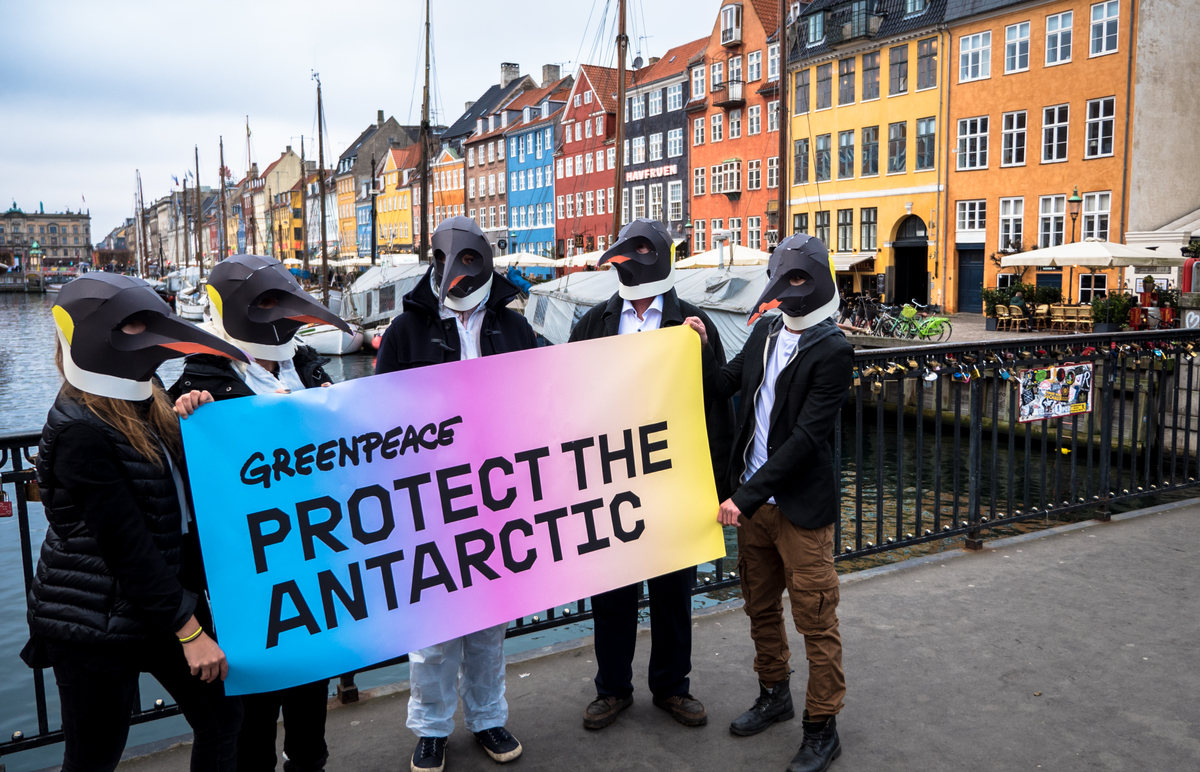Rise of the Penguins in Copenhagen © Michael Hedelain / Greenpeace