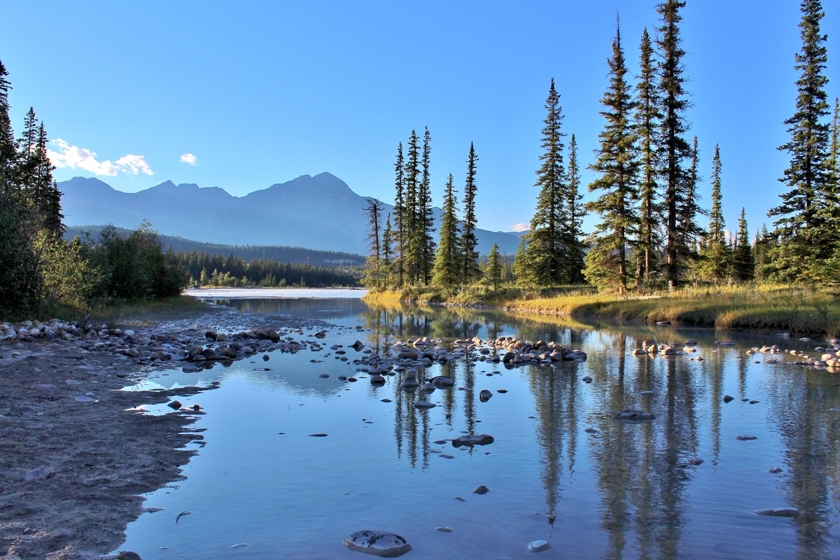 Jasper National Park in Canada © Greenpeace