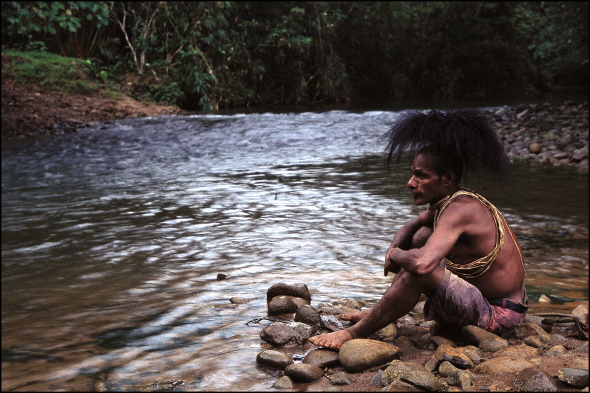 Forests Logging Background (Papua New Guinea : 2003) © Greenpeace / Sandy Scheltema