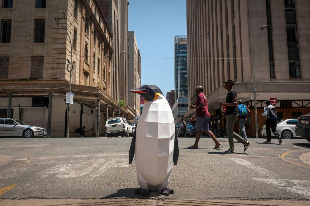 March of the Penguins in Johannesburg