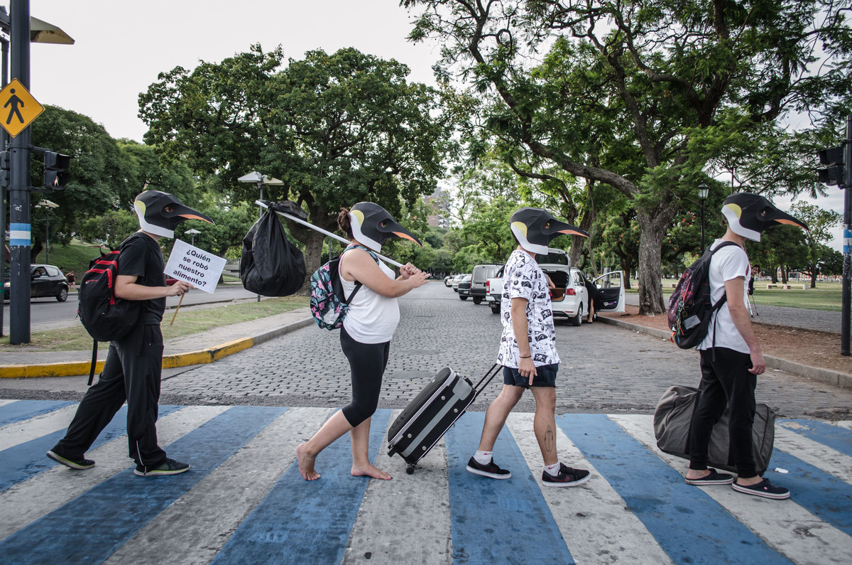 Rise of the Penguins in Rosario © / Greenpeace