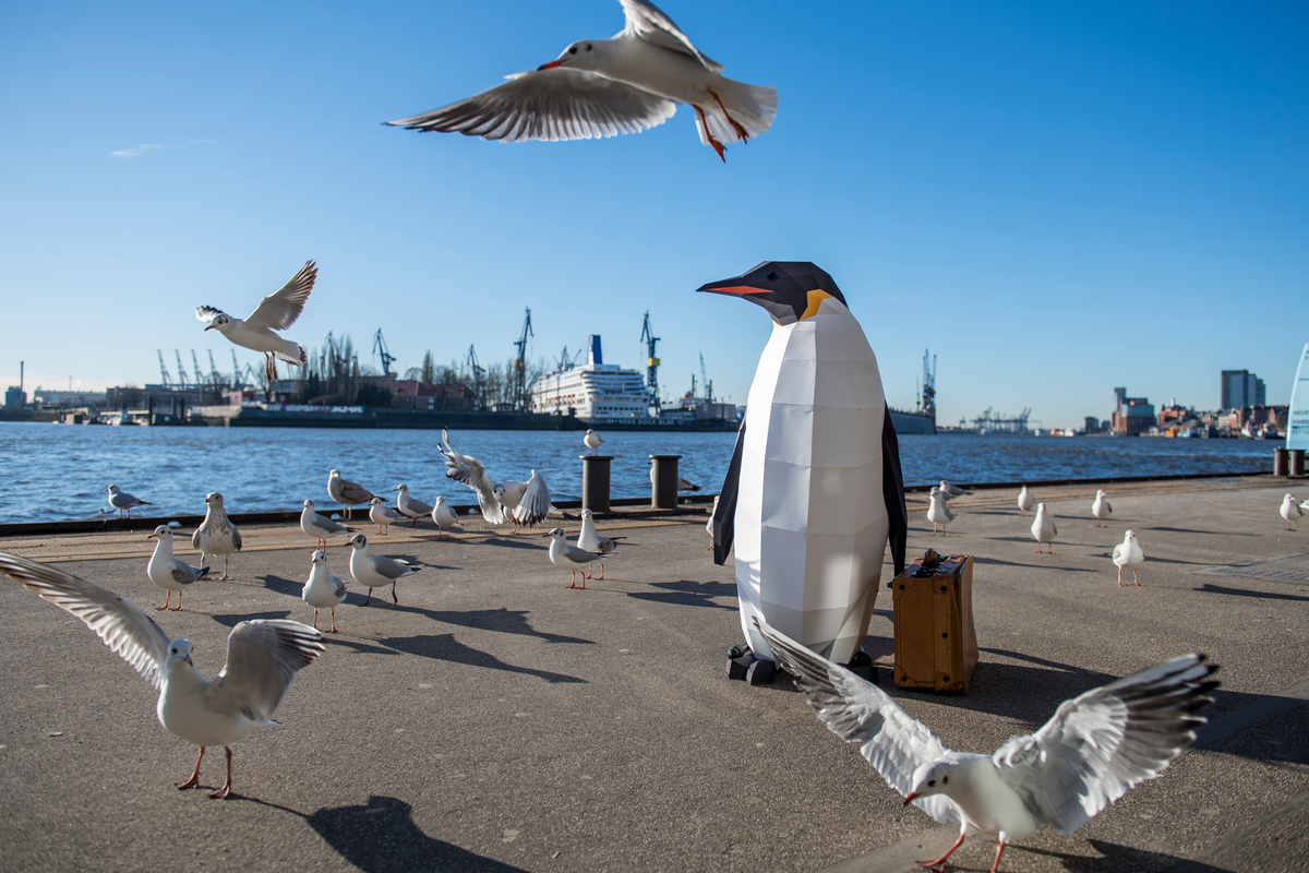 March of the Penguins in Hamburg"March of the Penguins" in Hamburg © Bente Stachowske / Greenpeace