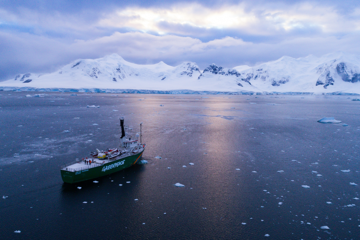 The Arctic Sunrise in the Antarctic © Sune Scheller / Greenpeace