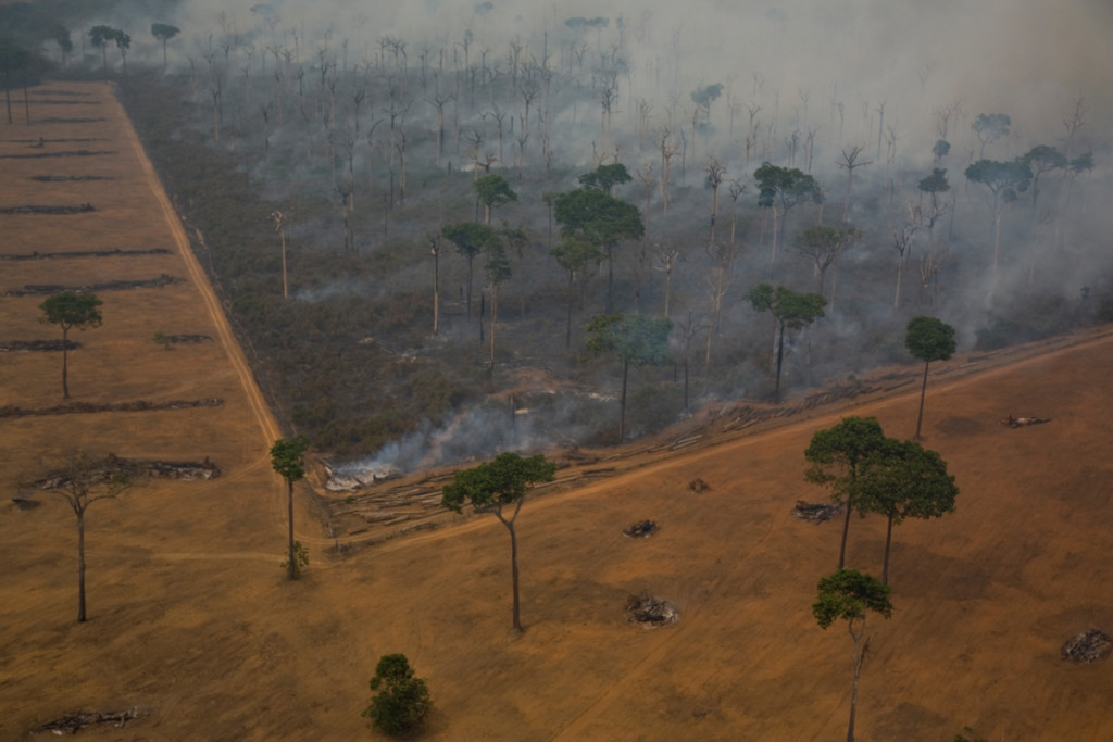 Amazon Rainforest in Burning Season © Otávio Almeida / Greenpeace