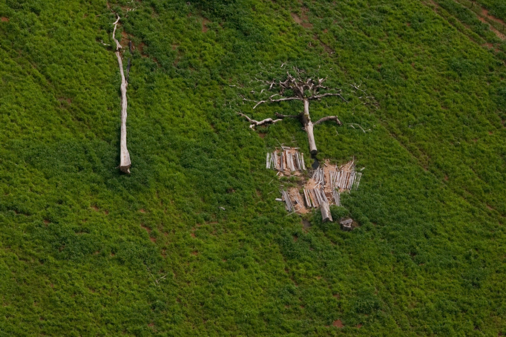 Deforested Area for Cattle Ranching in Brazil © Marizilda Cruppe / EVE / Greenpeace