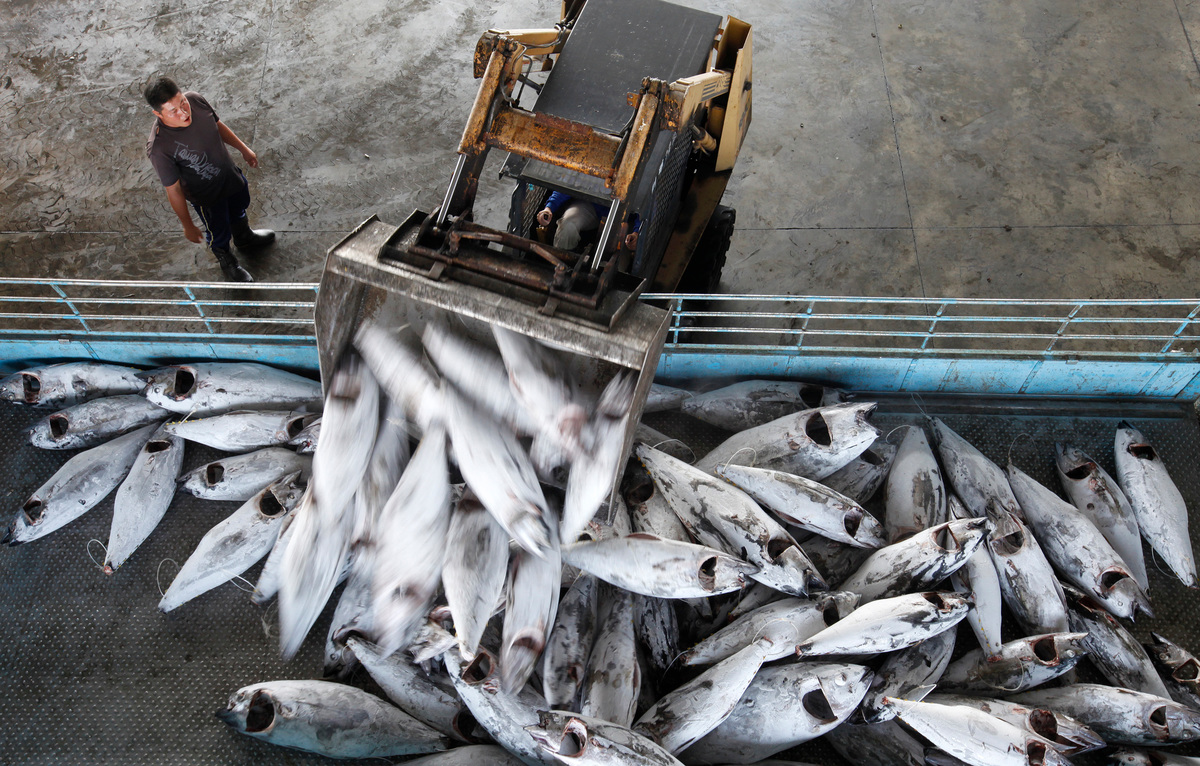 Fish Market in Taiwan