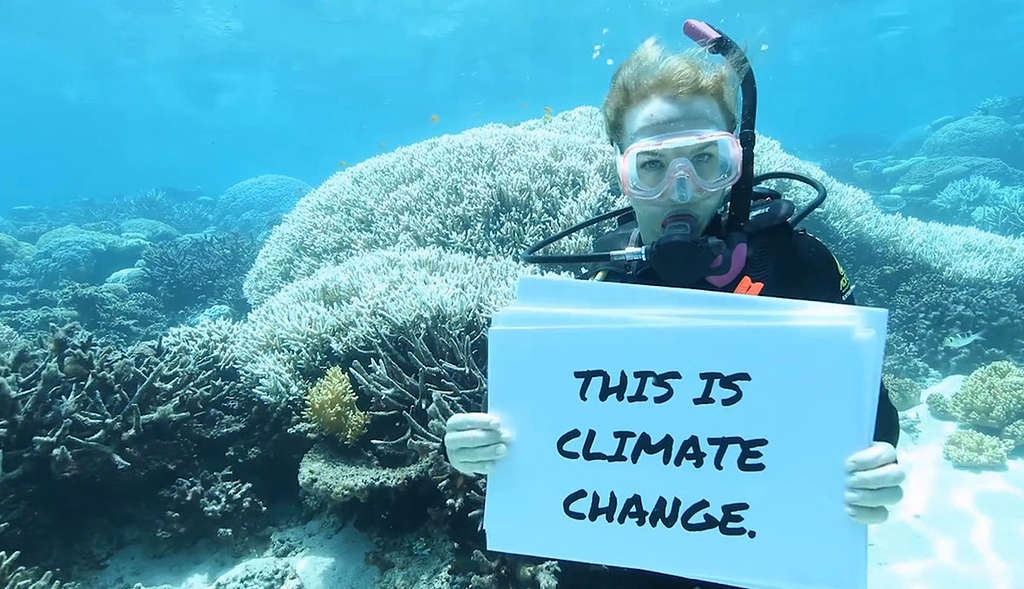 Great Barrier Reef Mass Coral Bleaching Event © Dean Miller / Greenpeace