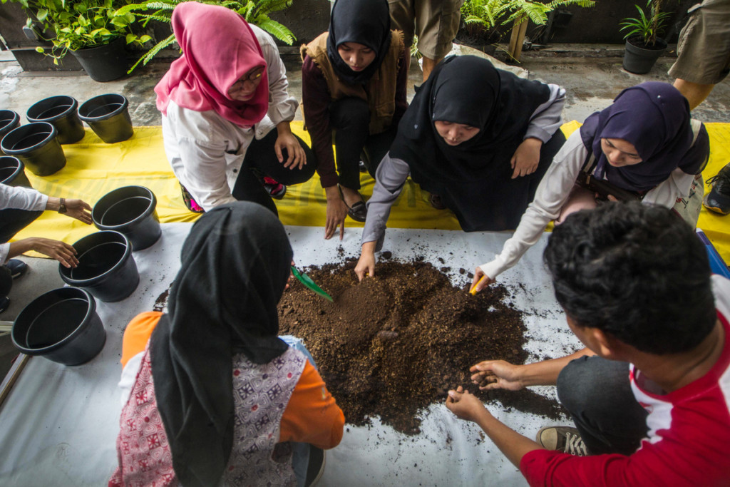 Urban Farming workshop in Jakarta as part of Make SMTHNG week © Afriadi Hikmal / Greenpeace