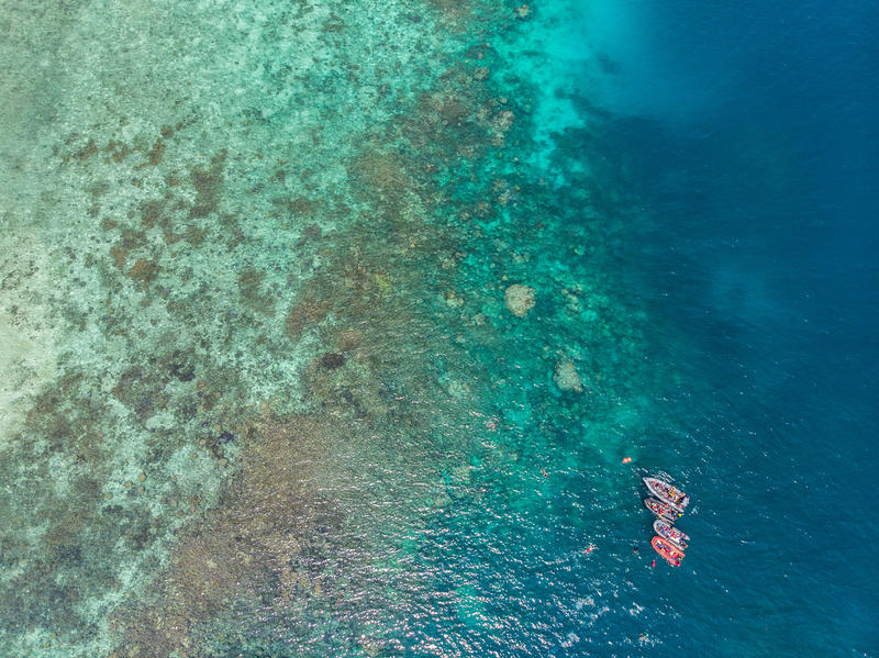  A drone image shows damaged coal reef near Kecil island in the area of Karimunjawa National Park, Central Java © Nugroho Adi Putera / Greenpeace