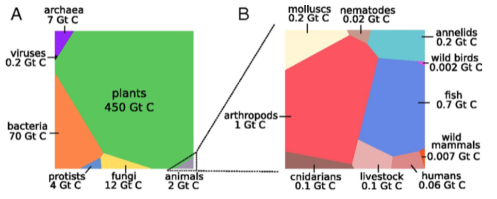 Voronoi diagram of global biomass distribution (used with permission from the Bar-On, Phillips, Milo census)