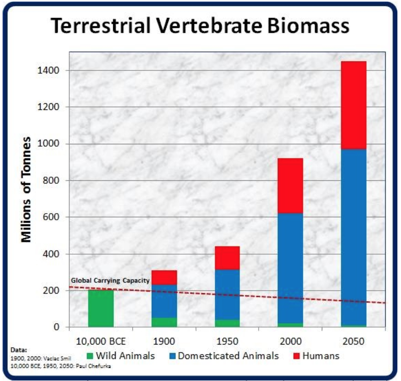 Graph: dominance of humans among terrestrial vertebrates 
