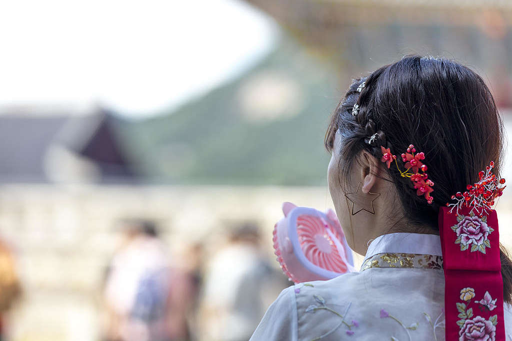 Heat Wave in Seoul A tourist in Gyongbok Palace cools down from the heat using a toy fan. © Soojung Do / Greenpeace