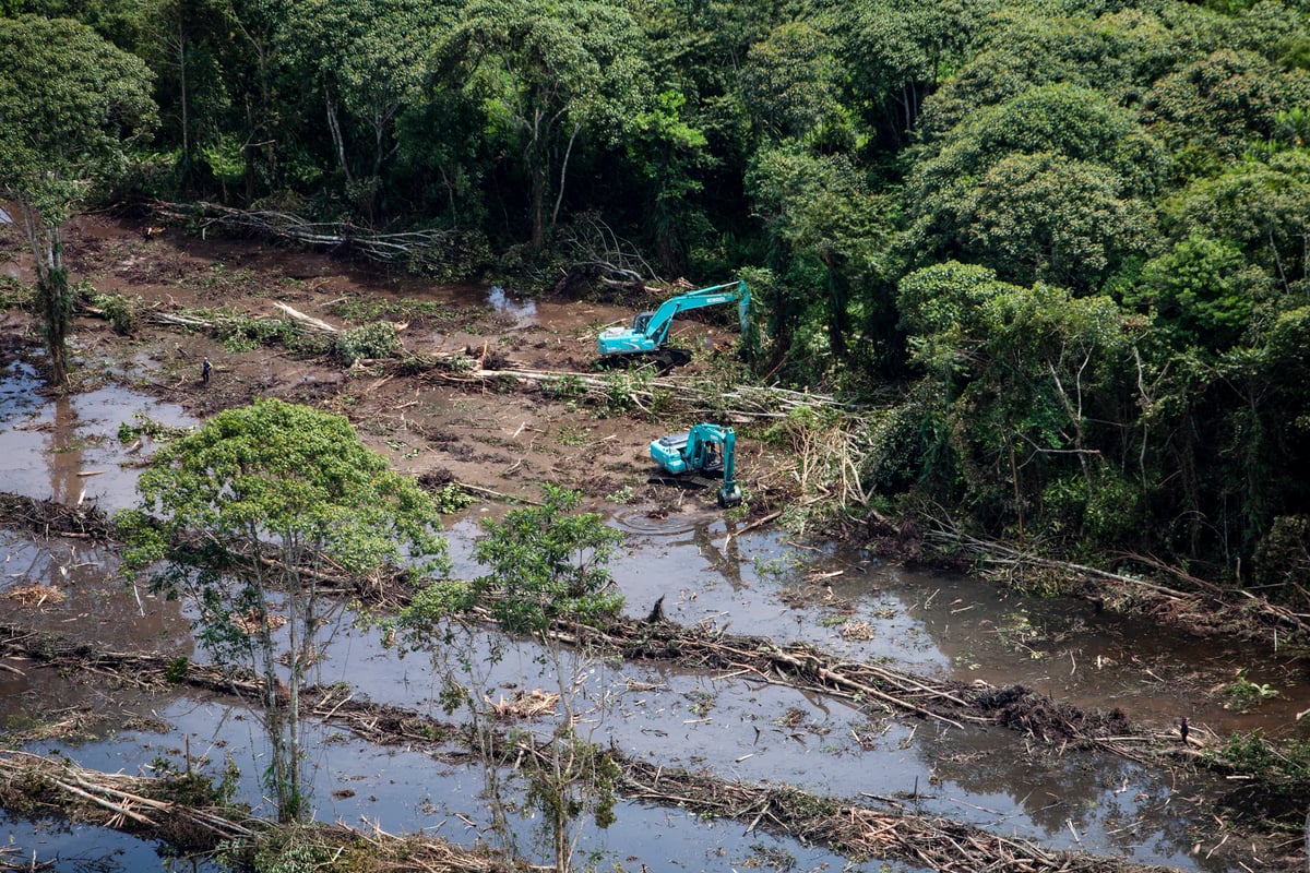 Deforestation for Palm Oil by Bumitama in Indonesia © Kemal Jufri / Greenpeace 