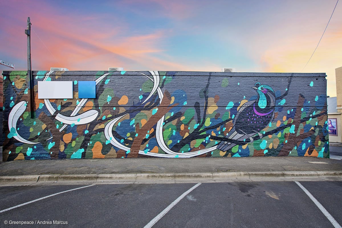 © Greenpeace / Andrea Marcus. Wings of Paradise mural, Geelong, Australia.