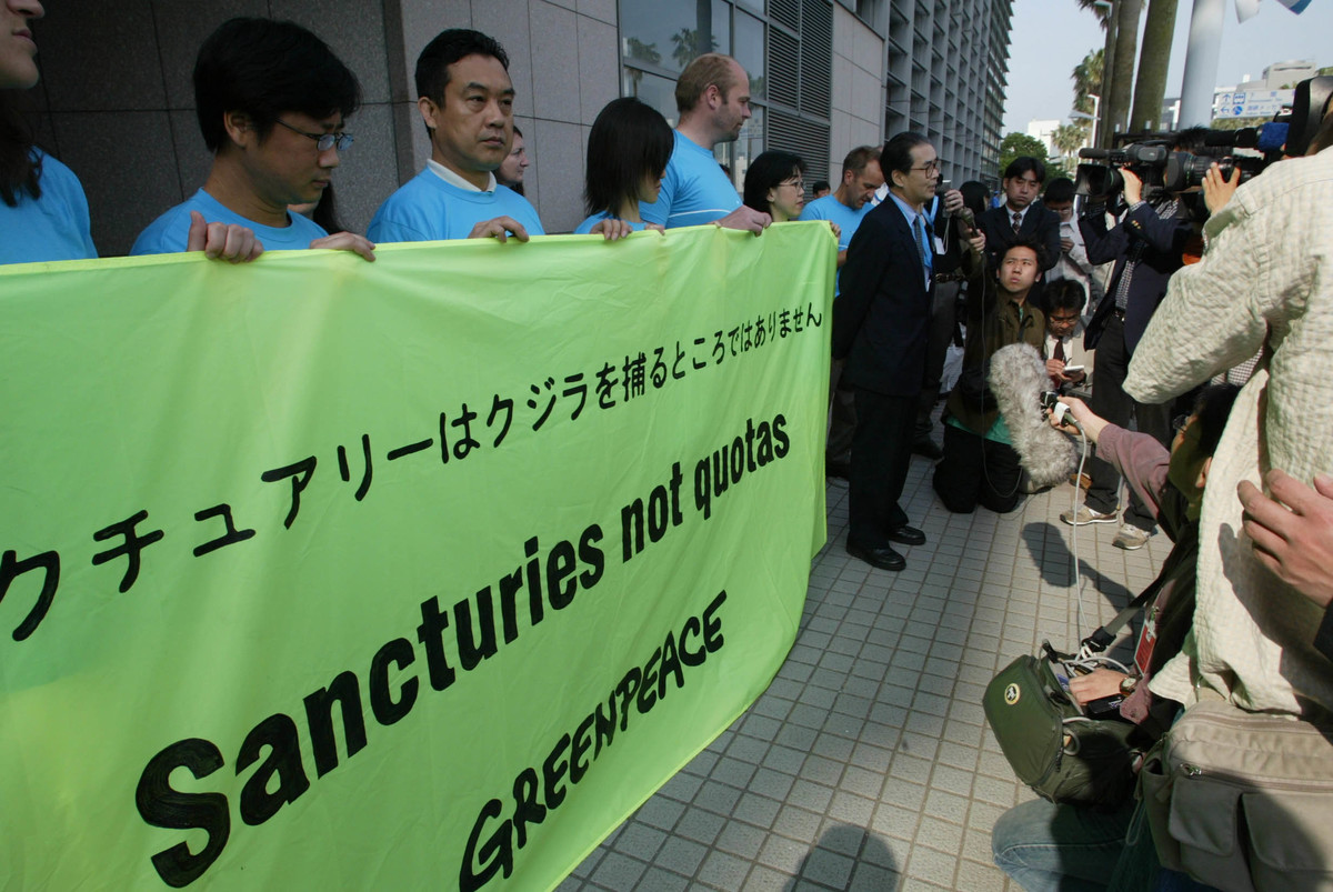 © Greenpeace / Hiroto Kiryu