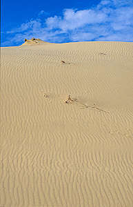 View of sand © Greenpeace / Vadim Kantor