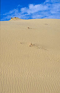 View of sand © Greenpeace / Vadim Kantor View of sand © Greenpeace / Vadim Kantor