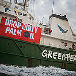 Banner on the side of the Greenpeace ship Esperanza reads: 'Drop Dirty Palm Oil'

Following six Greenpeace volunteers who boarded a giant tanker ship carrying dirty palm oil from Indonesia to Europe in a peaceful protest against rainforest destruction.

Trained Greenpeace volunteers from Indonesia, Germany, the UK, France, Canada and the US, have safely scaled the side of Stolt Tenacity.

The 185-metre long cargo ship is loaded with palm oil from Wilmar, the largest and dirtiest palm oil trader in the world.