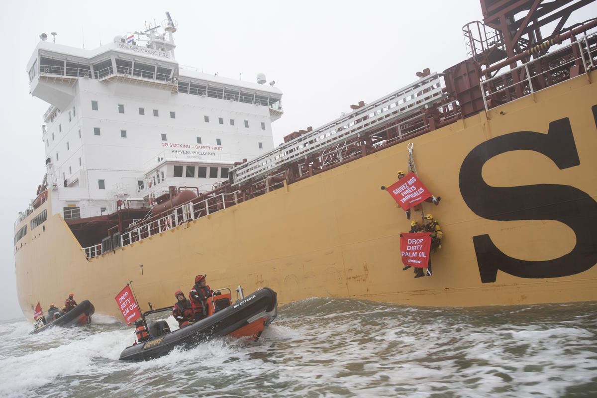 Dirty Palm Oil Protest against the Stolt Tenacity in Rotterdam. © Marten  van Dijl