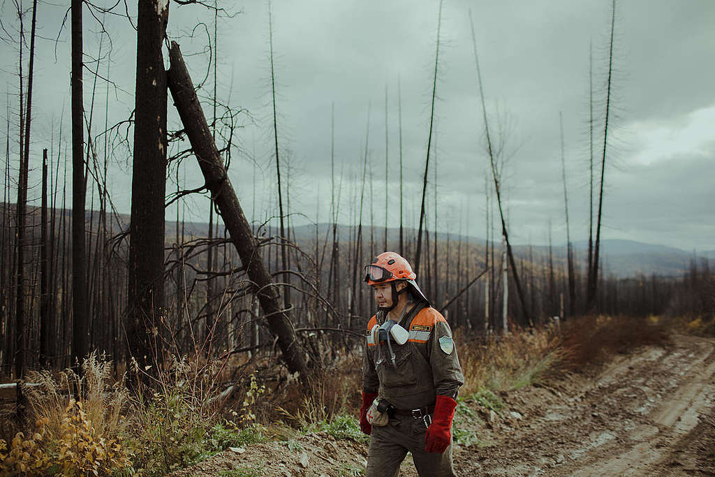 Boreal Wildfire Aftermath in Russia © Denis Sinyakov / Greenpeace