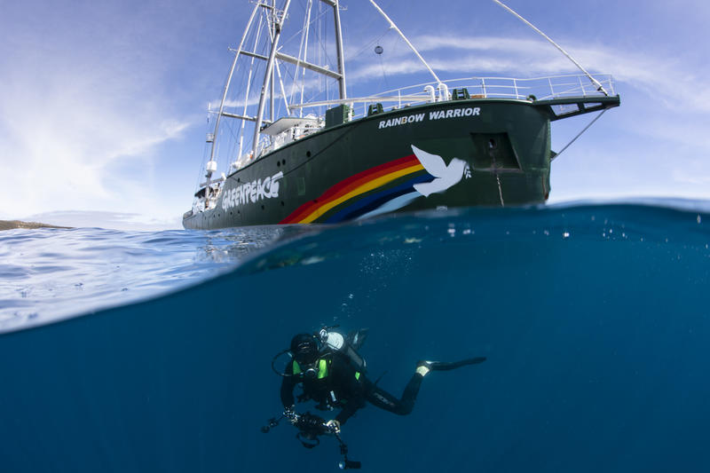 Diver with the Rainbow Warrior in the Great Australian Bight
