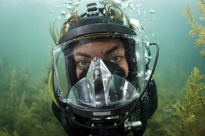 Divers exploring the Great Australian Bight