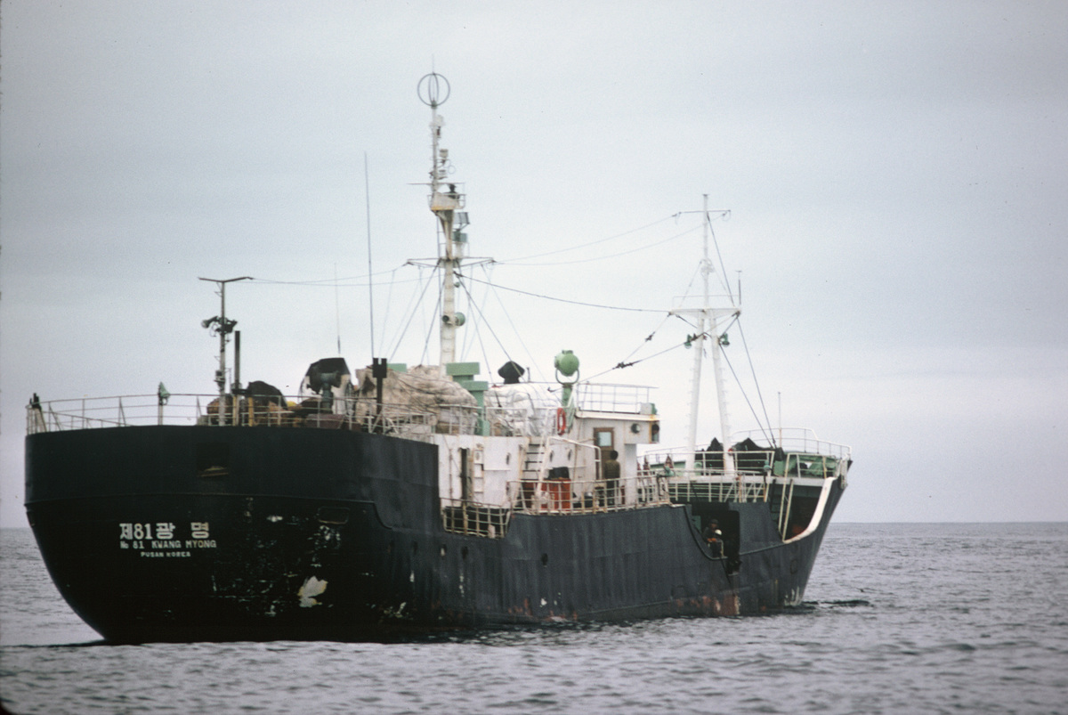 © Greenpeace / Rex Weyler © Greenpeace / Rex Weyler