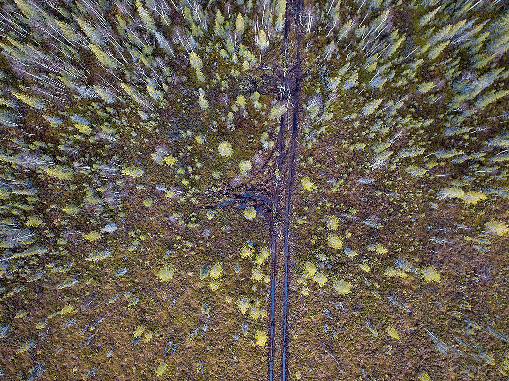 Aerial view of Kushor © Greenpeace