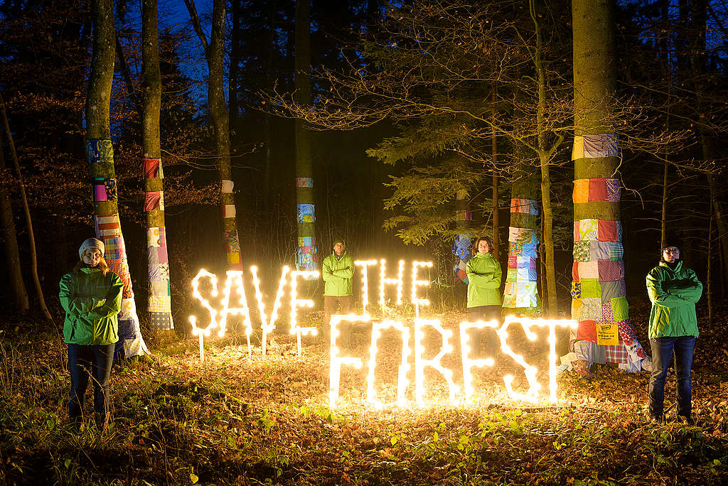 Save the Forest Light Installation in Switzerland