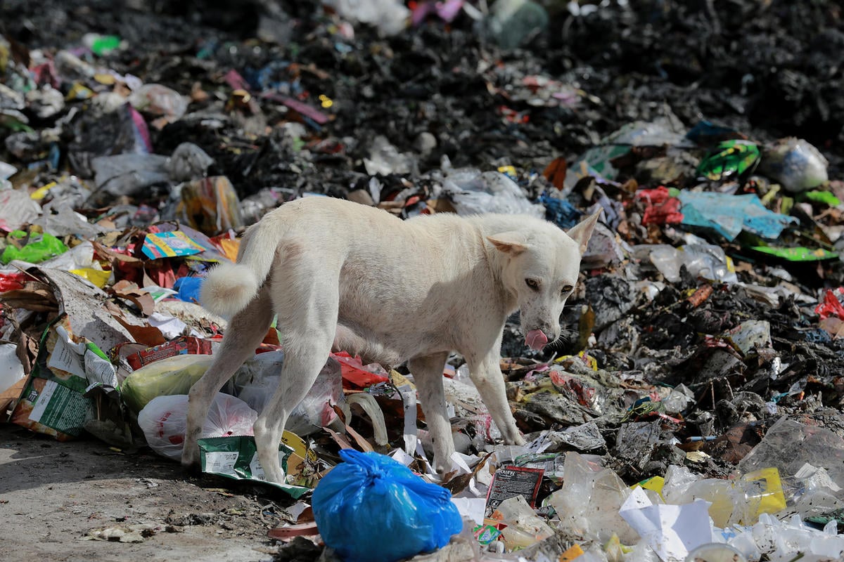 Plastic Waste Dump in Dumaguete, Philippines. © Anonymous