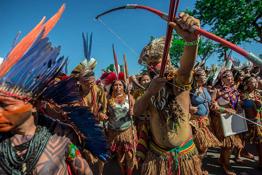 The World Is Watching—and Supporting—indigenous Peoples In Brazil Greenpeace International