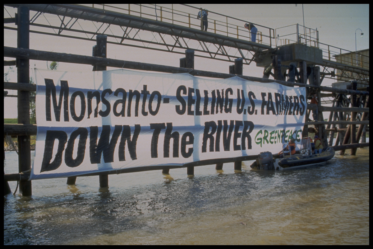 Action Against Monsanto and GE Soybeans in Louisiana © Greenpeace / Kent Hardouin