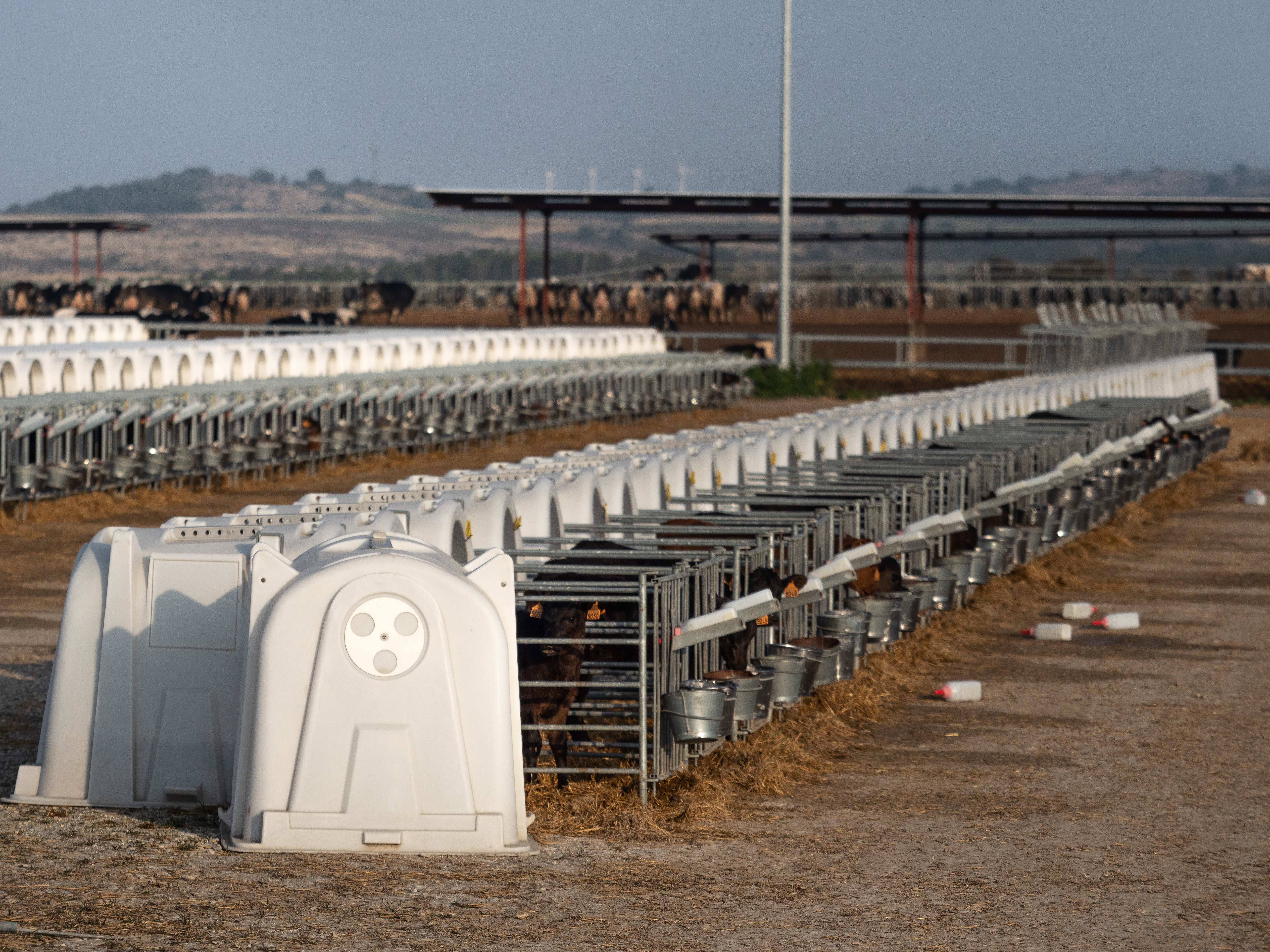 The dairy factory farm near the town of Caparroso, Spain © Greenpeace / Wildlight