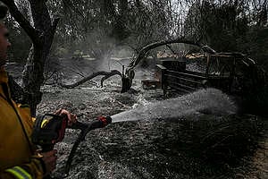 Destroyed Village after Wildfire in Israel. © Greenpeace