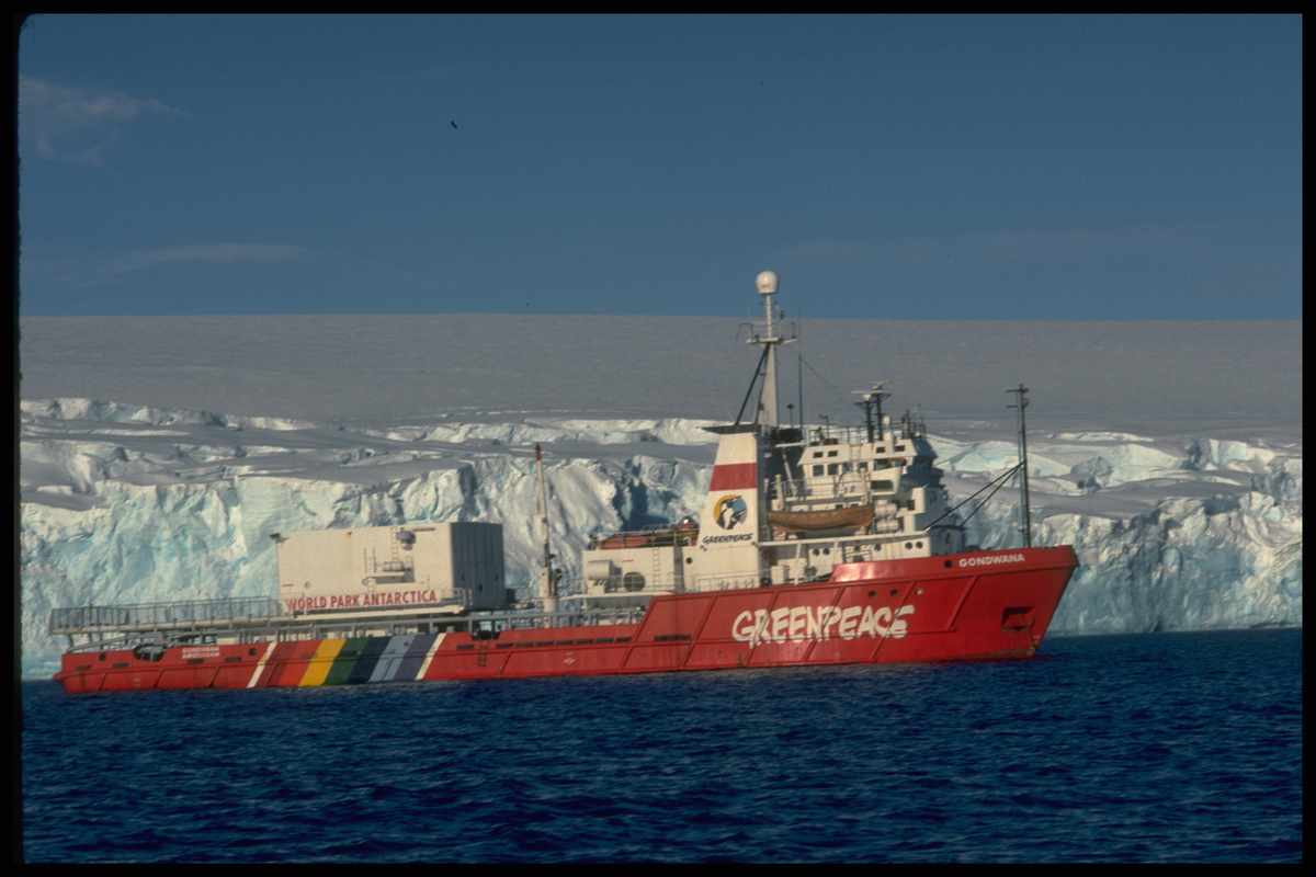 Arthur Harbour, near Palmer Station (US). © Greenpeace / Robin Culley