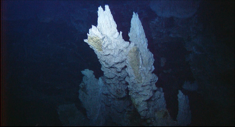 Arbonate Spires In The Lost City Vent Field. © NOAA / OAR / OER