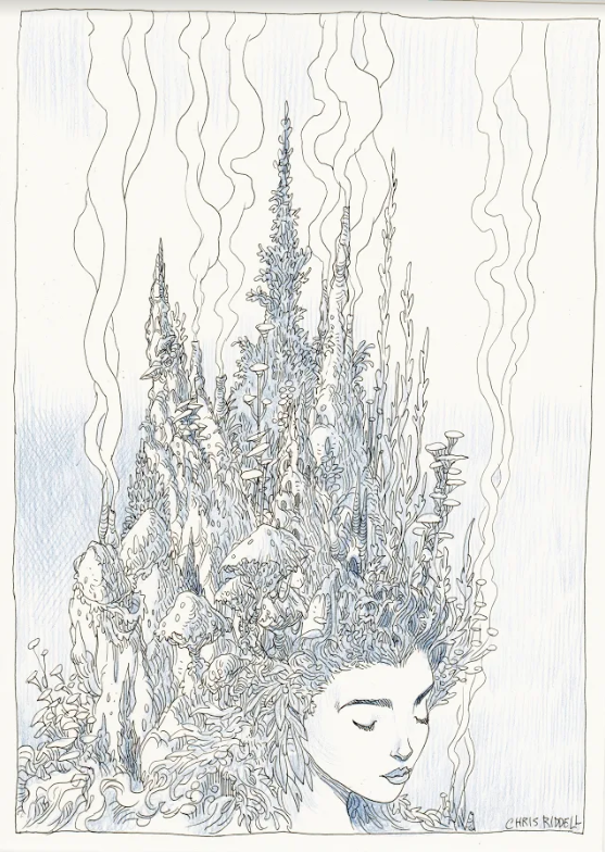 Chris Riddell's artwork