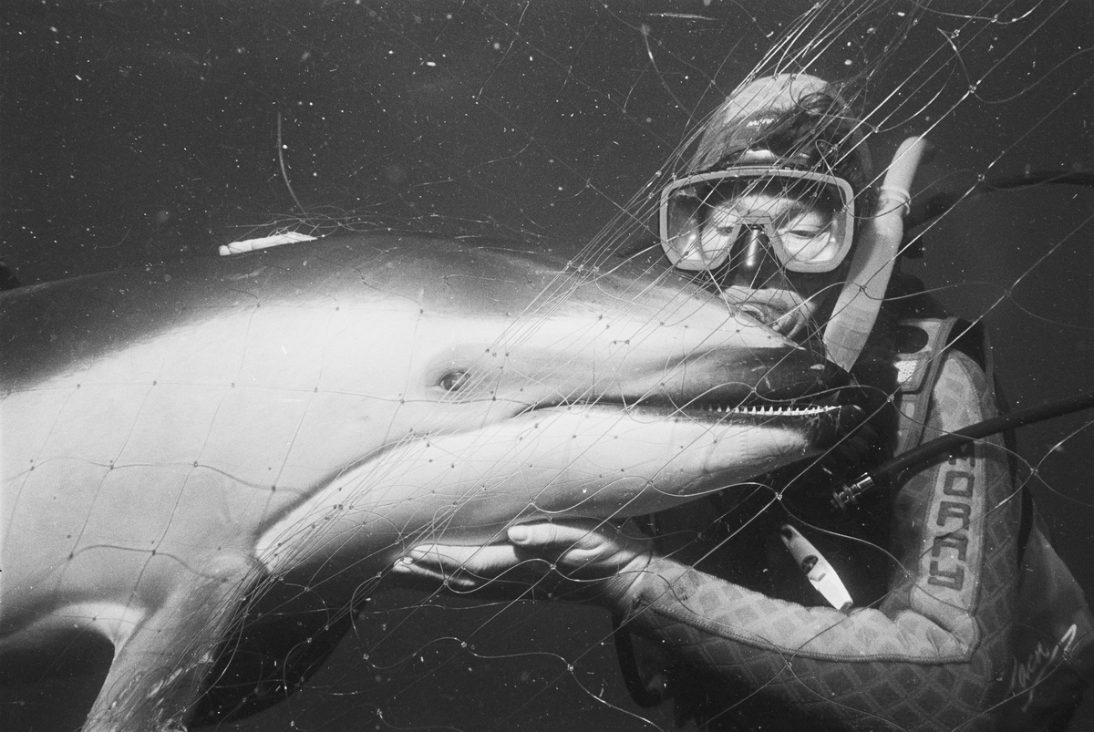 Linda Ingham with Pacific Dolphin. © Greenpeace / Roger Grace