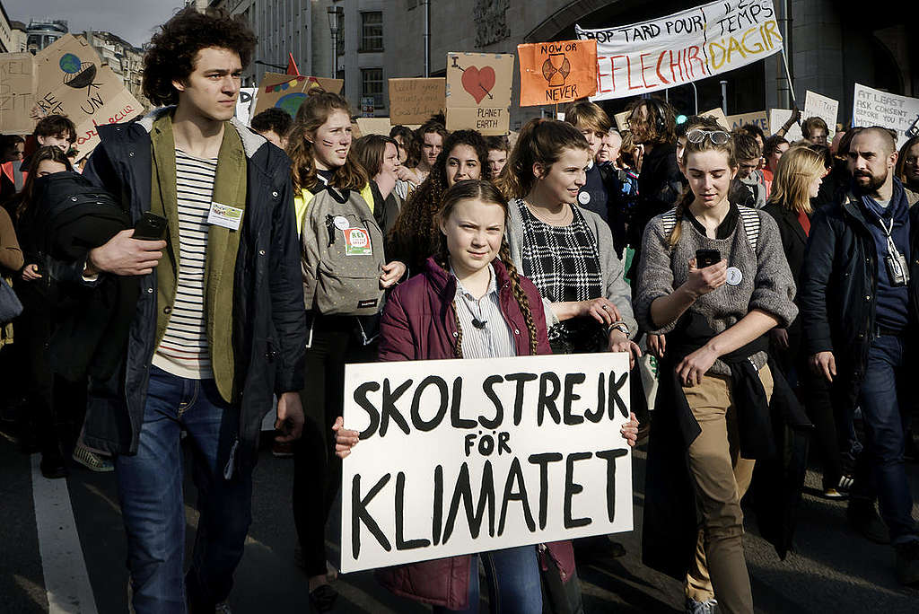 © Greenpeace / Eric De Mildt © Greenpeace / Eric De Mildt