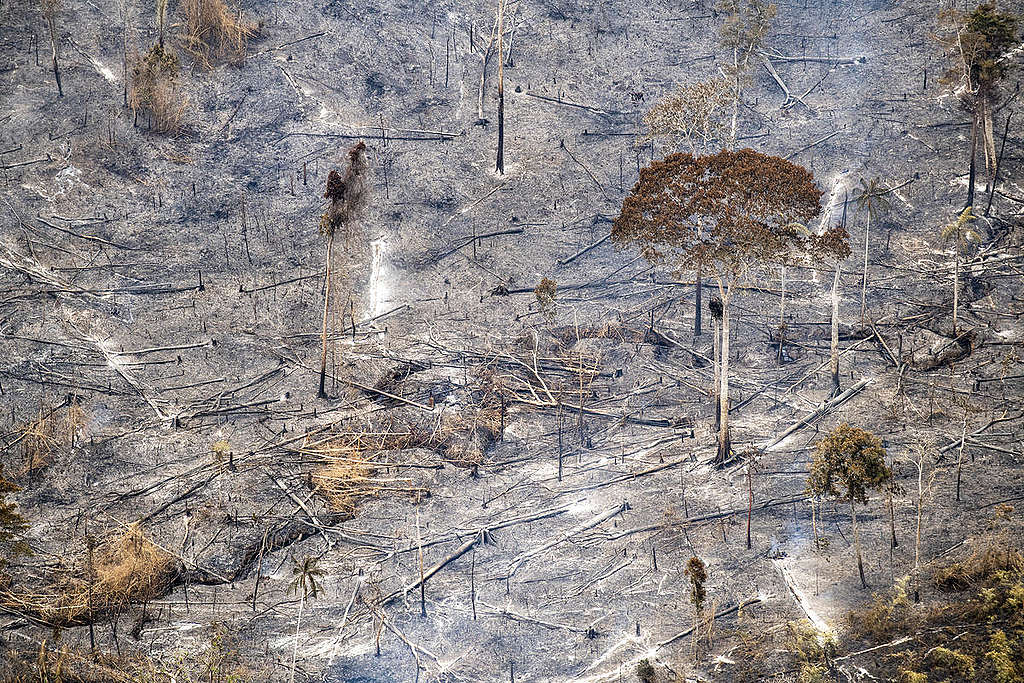 © Daniel Beltrá / Greenpeace