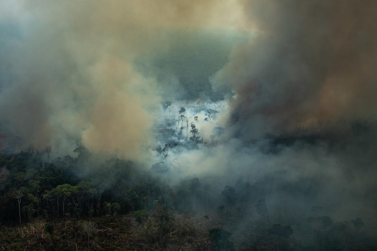 Forest Fires in Amazon - Second Overflight (2019). © Victor Moriyama / Greenpeace
