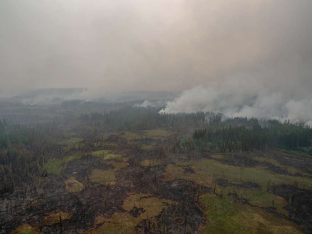 Forest Fires near Irkutsk Region in Russia © Igor Podgorny / Greenpeace