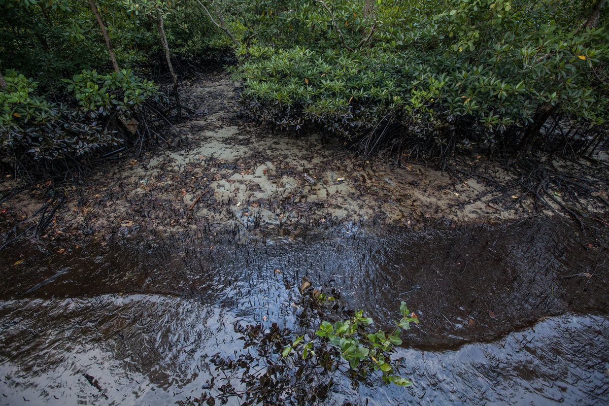 Oil Spill Aftermath in Balikpapan Bay. © Jurnasyanto Sukarno / Greenpeace