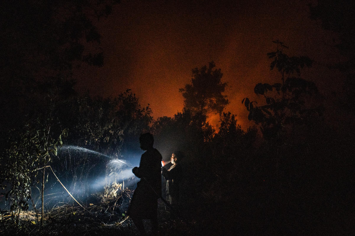 Forest Fires in Central Kalimantan. © Jurnasyanto Sukarno / Greenpeace