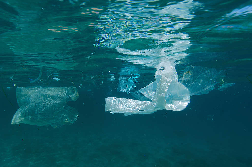 Floating Plastic. © Greenpeace / Gavin Parsons