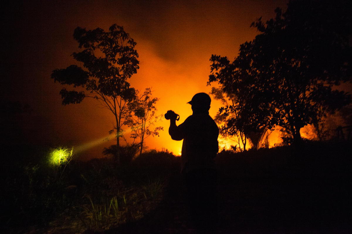 Forest Fires in Central Kalimantan. © Jurnasyanto Sukarno / Greenpeace