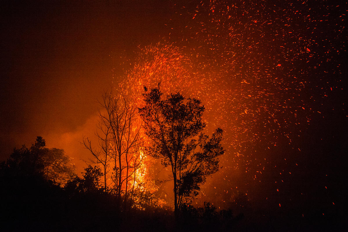 Forest Fires in Central Kalimantan. © Jurnasyanto Sukarno / Greenpeace