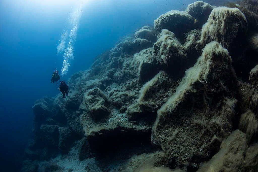 Divers in Ventotene Island. © Lorenzo Moscia / Greenpeace Divers in Ventotene Island. © Lorenzo Moscia / Greenpeace